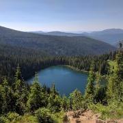 Rocky Mountain forests